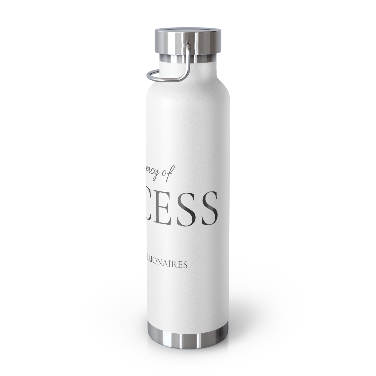 The Frequency of 'SUCCESS' Copper Vacuum Insulated Bottle, 22oz